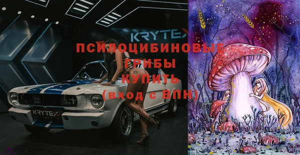 а пвп мука Краснослободск