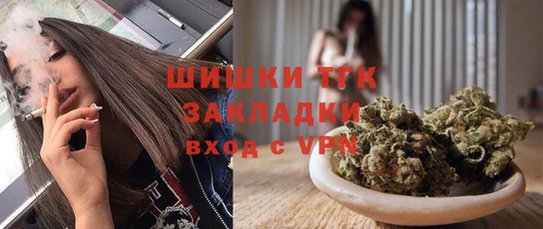 хмурый Яровое