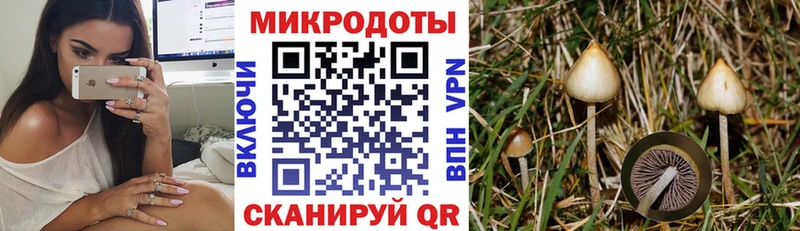 Галлюциногенные грибы Magic Shrooms  где продают   Устюжна 