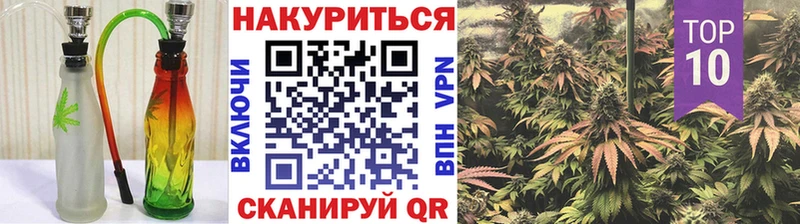 МАРИХУАНА гибрид  Устюжна 